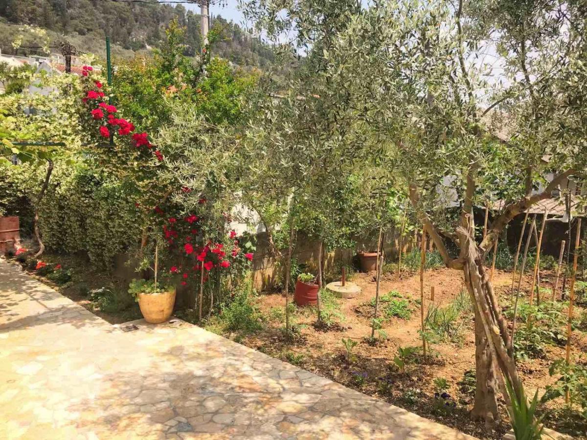 אולסינץ' Oldmill Guesthouse מראה חיצוני תמונה